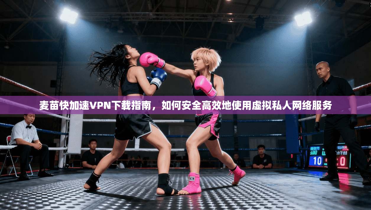 麦苗快加速VPN下载指南，如何安全高效地使用虚拟私人网络服务