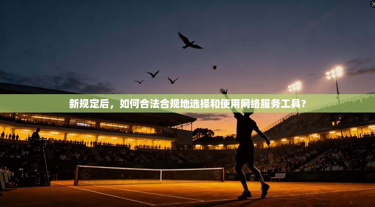 新规定后，如何合法合规地选择和使用网络服务工具？