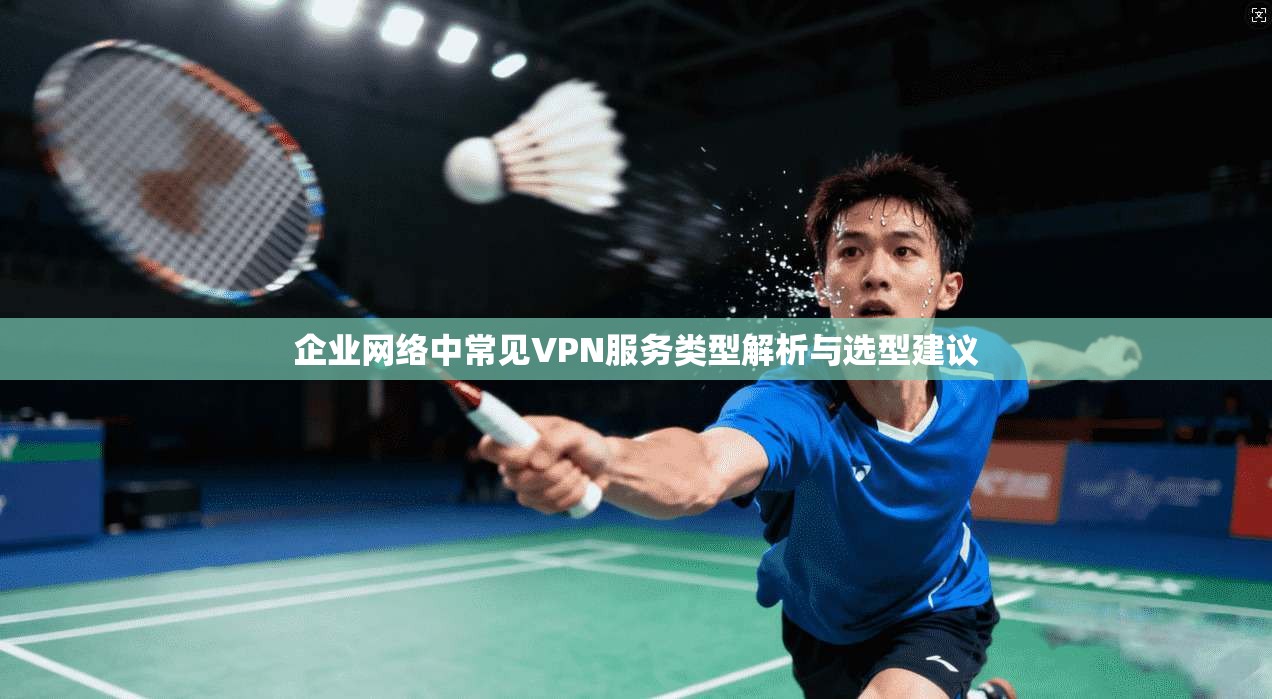 企业网络中常见VPN服务类型解析与选型建议