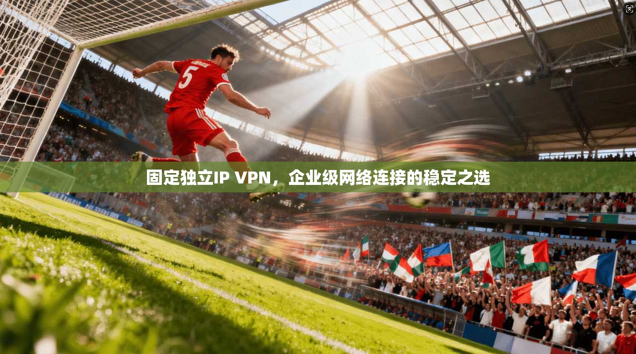固定独立IP VPN，企业级网络连接的稳定之选
