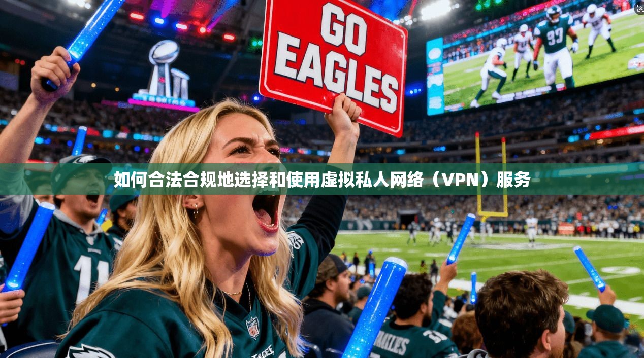 如何合法合规地选择和使用虚拟私人网络（VPN）服务