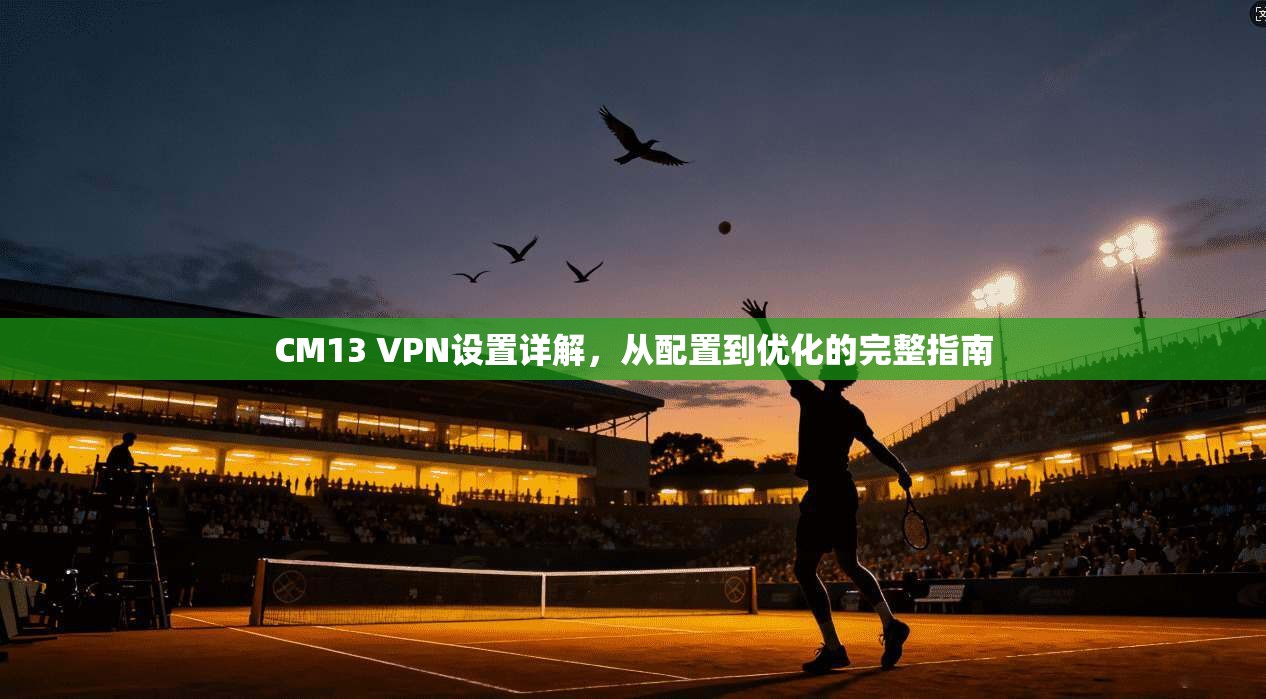 CM13 VPN设置详解,从配置到优化的完整指南