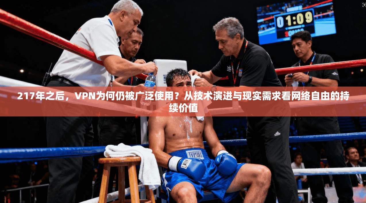 217年之后，VPN为何仍被广泛使用？从技术演进与现实需求看网络自由的持续价值