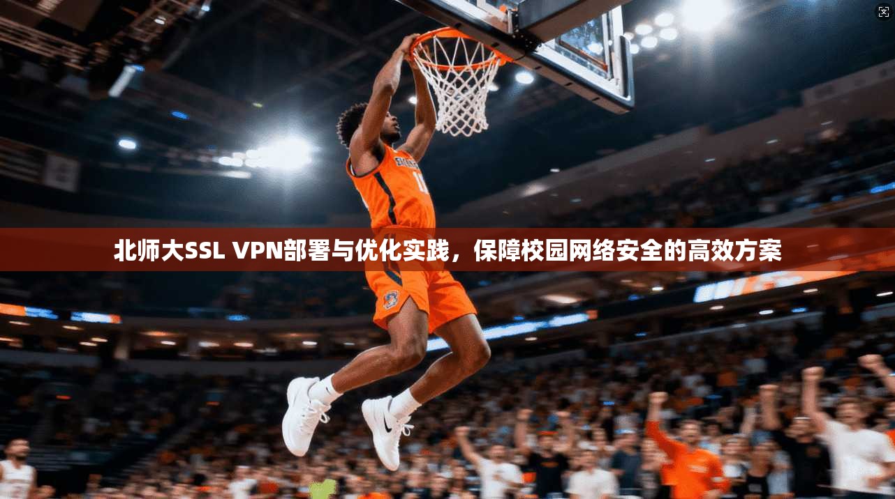 北师大SSL VPN部署与优化实践，保障校园网络安全的高效方案