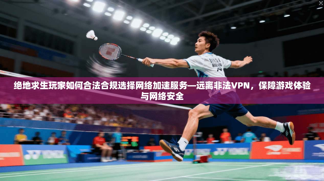 绝地求生玩家如何合法合规选择网络加速服务—远离非法VPN，保障游戏体验与网络安全