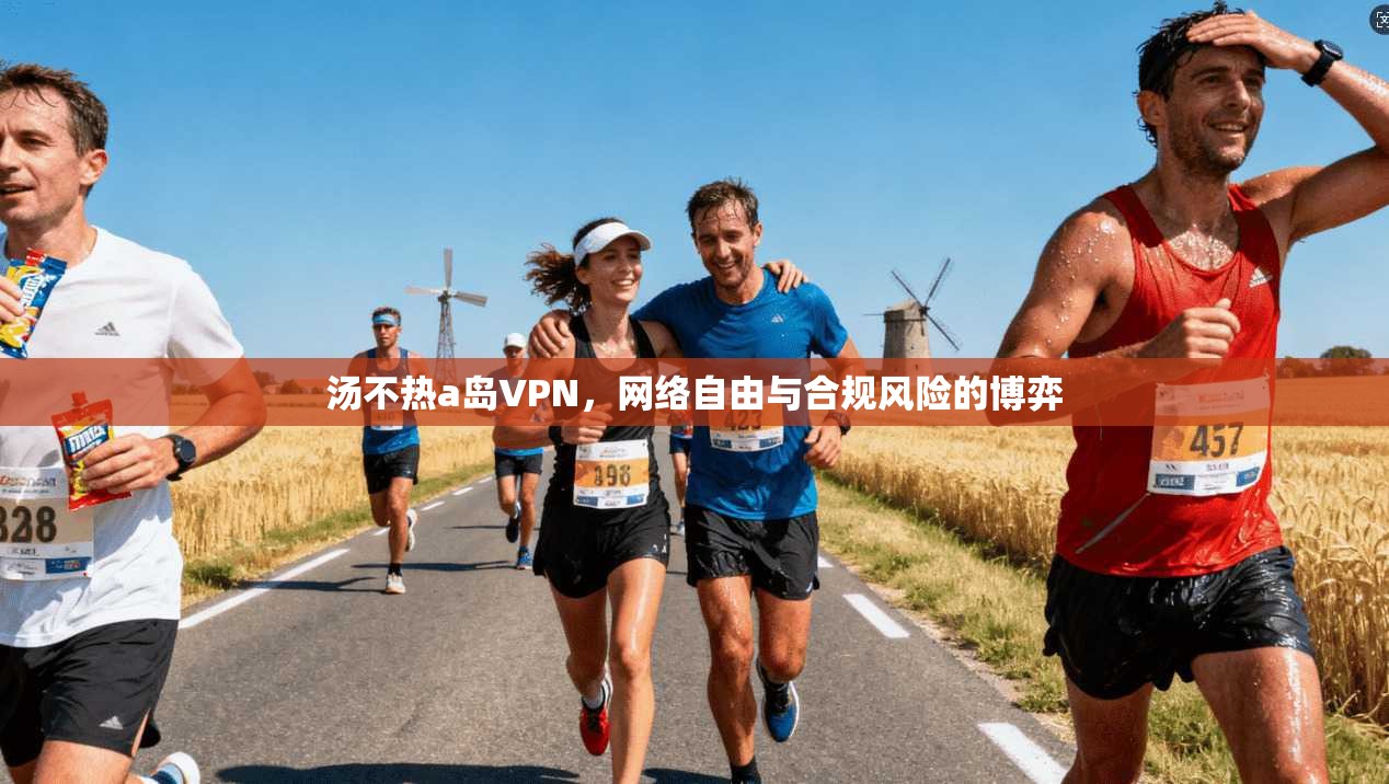 汤不热a岛VPN，网络自由与合规风险的博弈