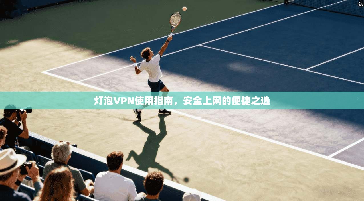 灯泡VPN使用指南，安全上网的便捷之选