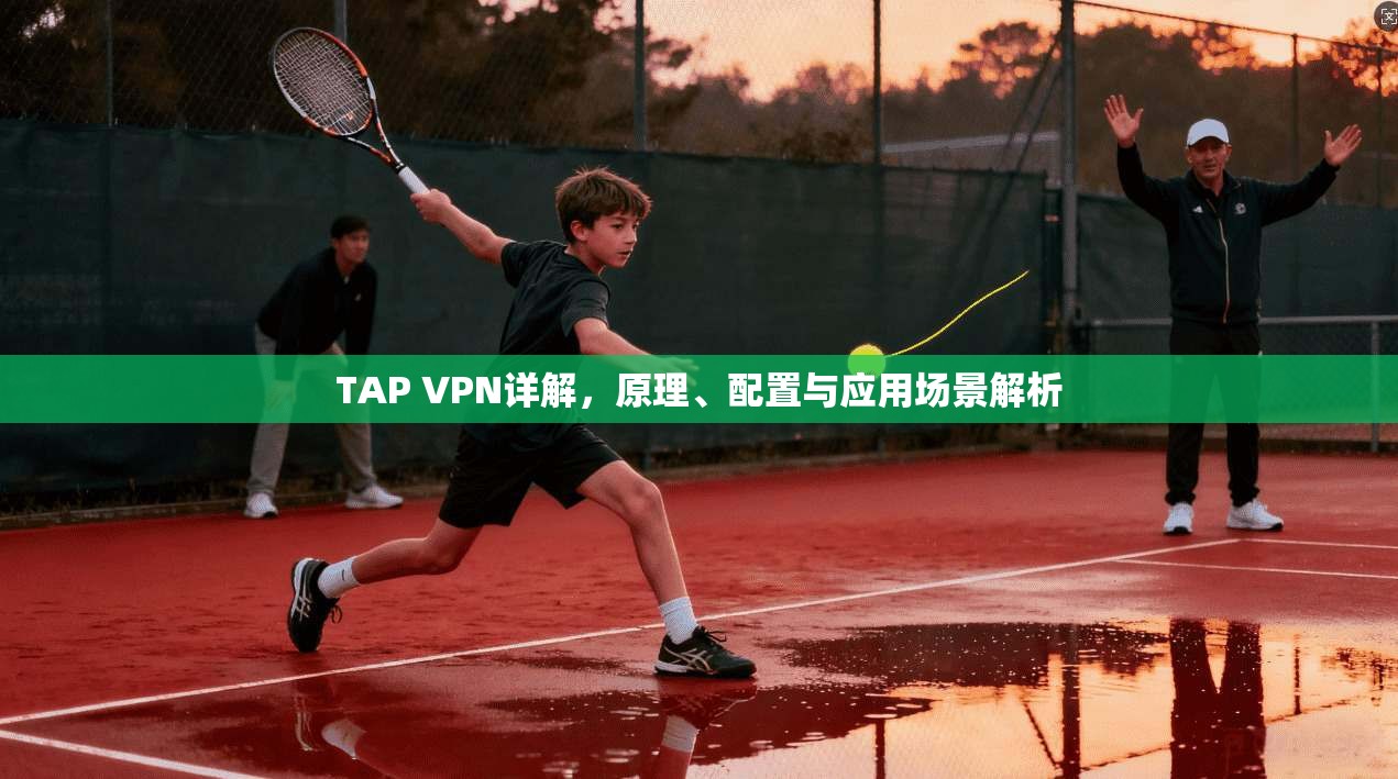 TAP VPN详解，原理、配置与应用场景解析