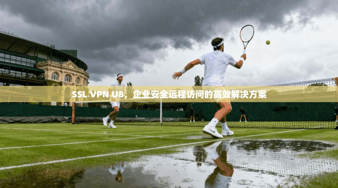 SSL VPN U8，企业安全远程访问的高效解决方案