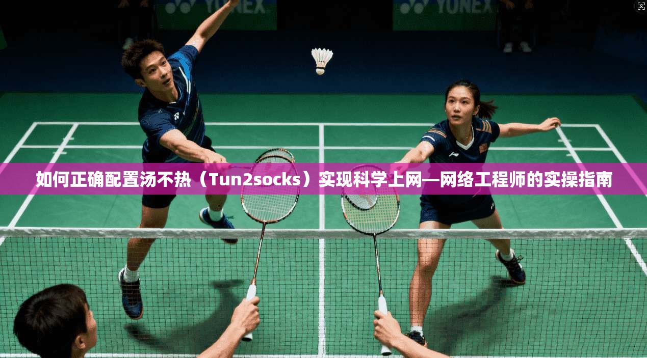 如何正确配置汤不热（Tun2socks）实现科学上网—网络工程师的实操指南