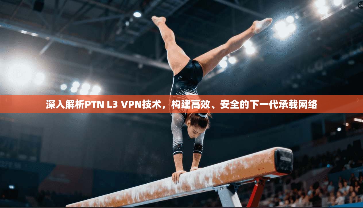 深入解析PTN L3 VPN技术，构建高效、安全的下一代承载网络