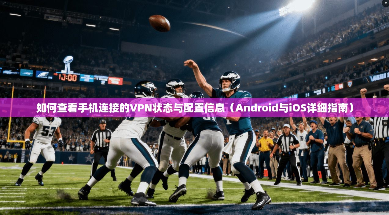 如何查看手机连接的VPN状态与配置信息（Android与iOS详细指南）