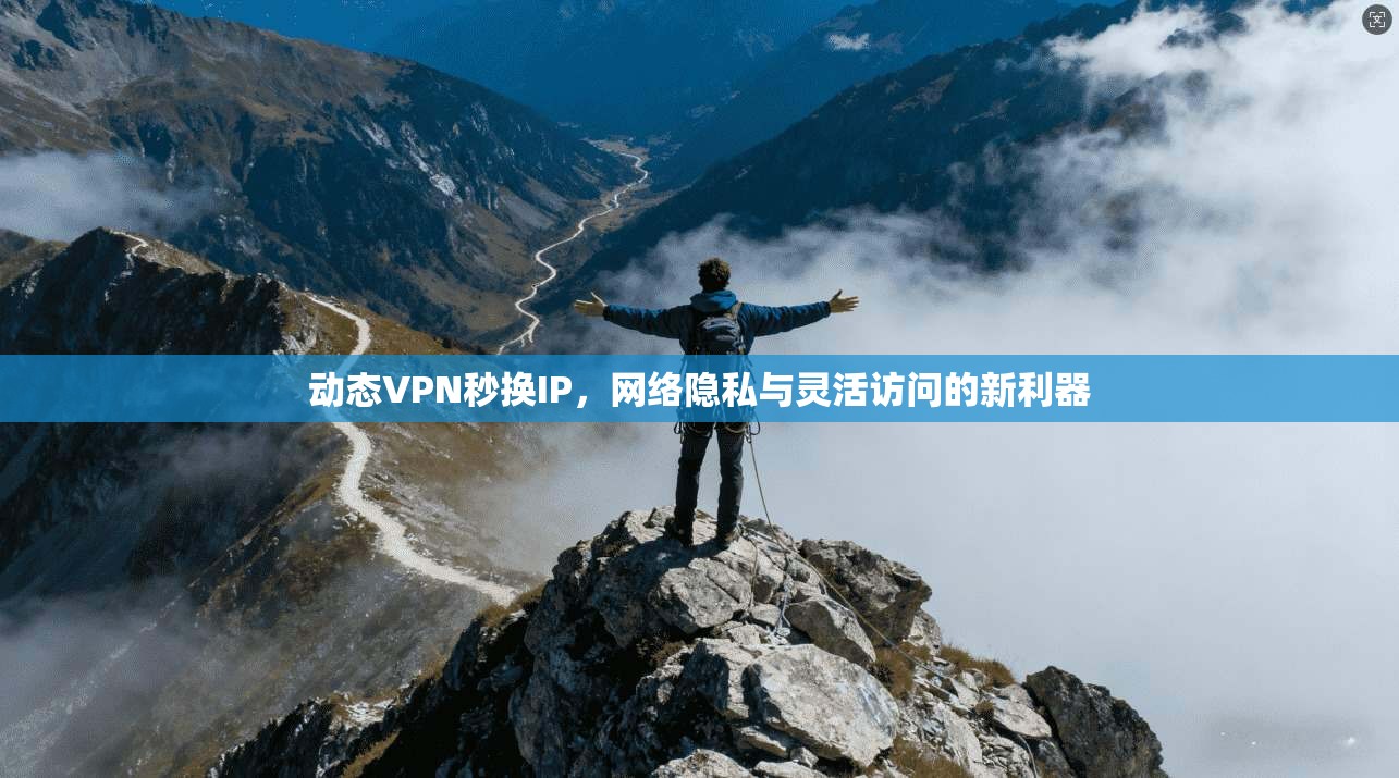 动态VPN秒换IP，网络隐私与灵活访问的新利器