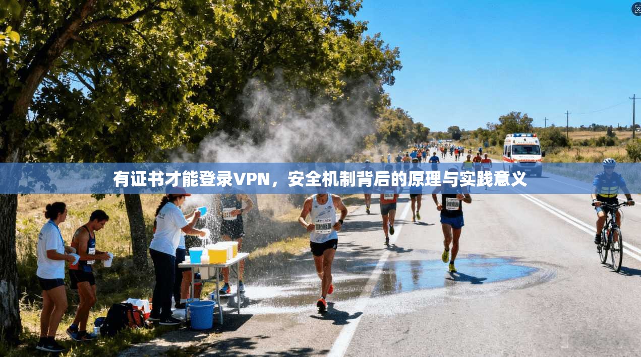 有证书才能登录VPN，安全机制背后的原理与实践意义