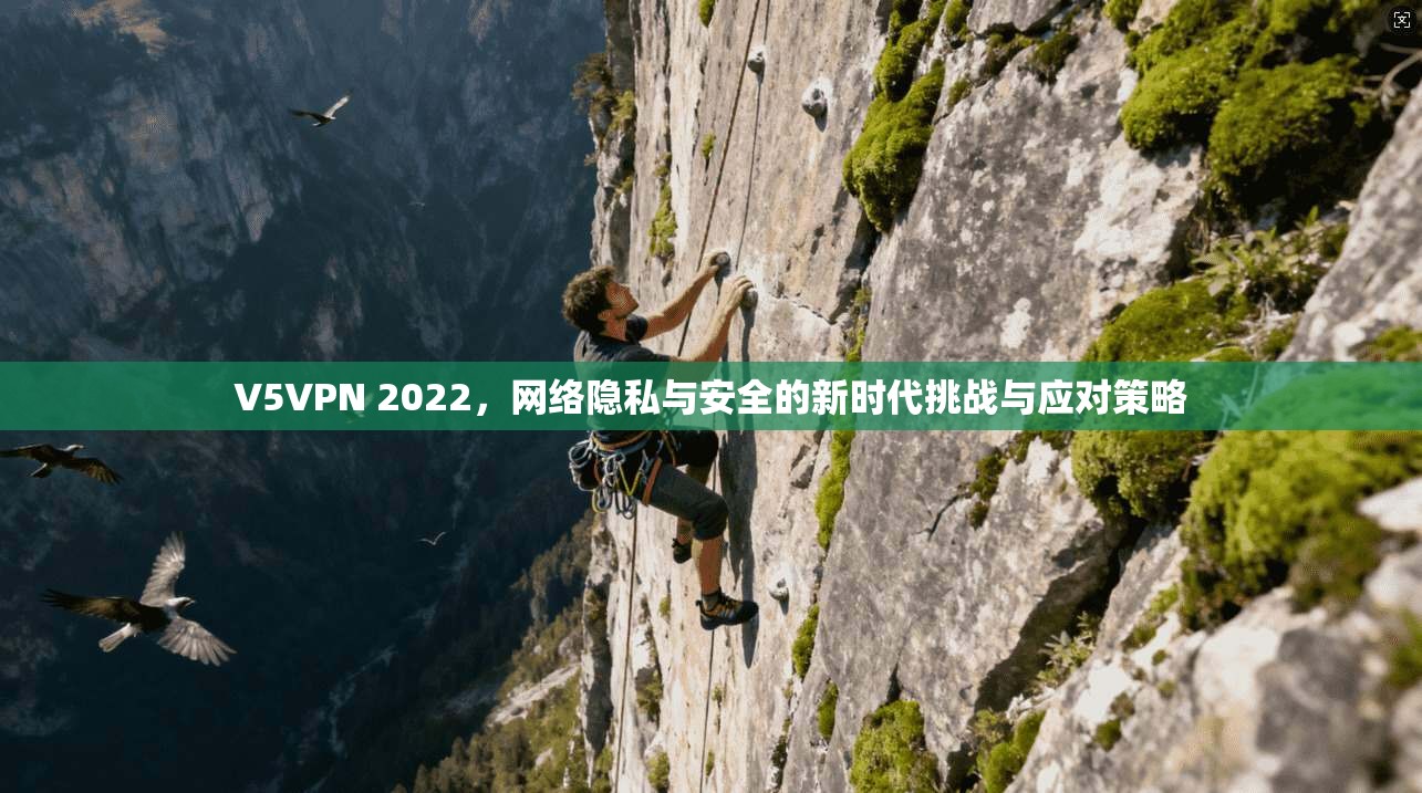 V5VPN 2022，网络隐私与安全的新时代挑战与应对策略