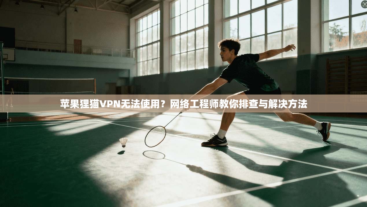 苹果狸猫VPN无法使用？网络工程师教你排查与解决方法