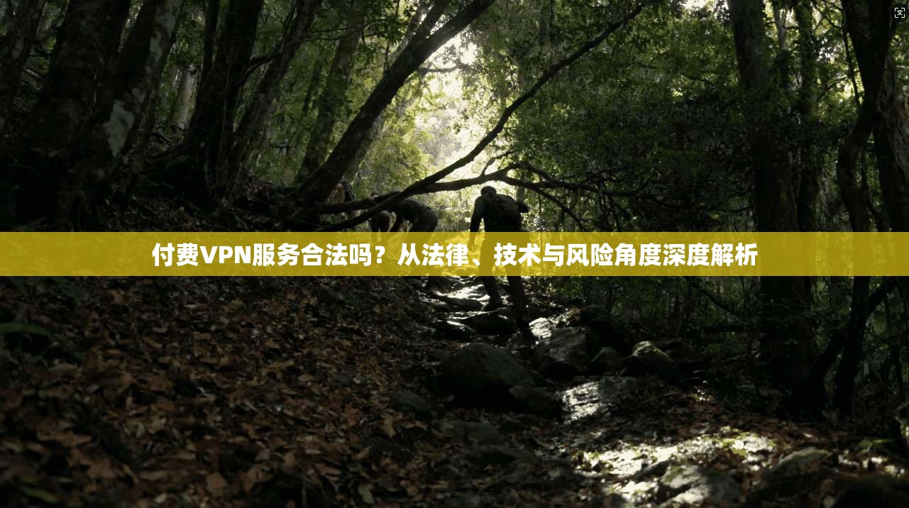 付费VPN服务合法吗？从法律、技术与风险角度深度解析
