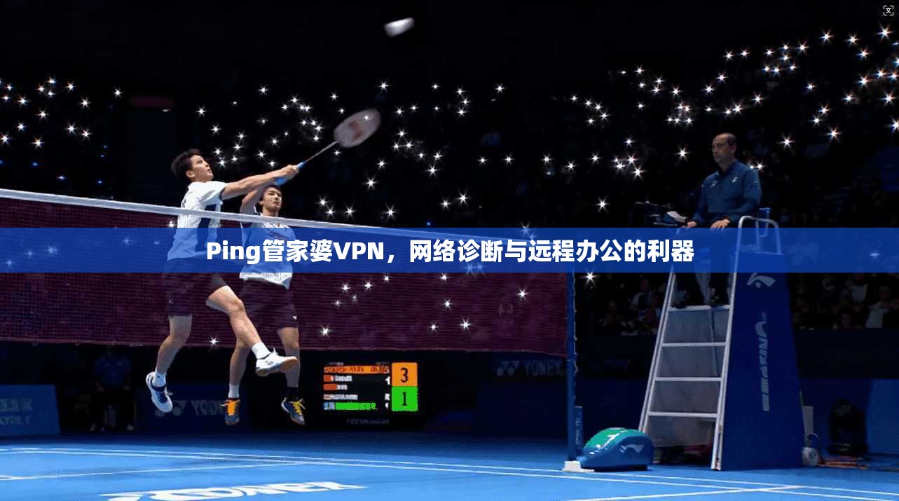 Ping管家婆VPN，网络诊断与远程办公的利器