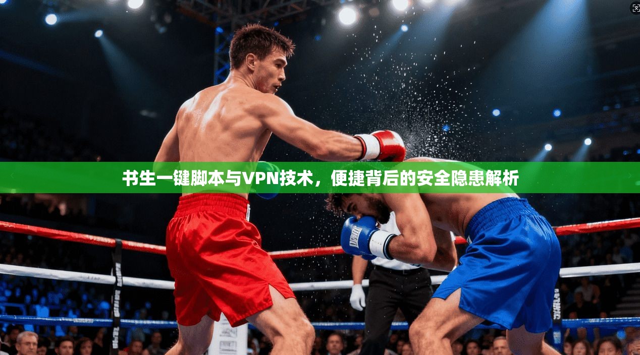 书生一键脚本与VPN技术，便捷背后的安全隐患解析