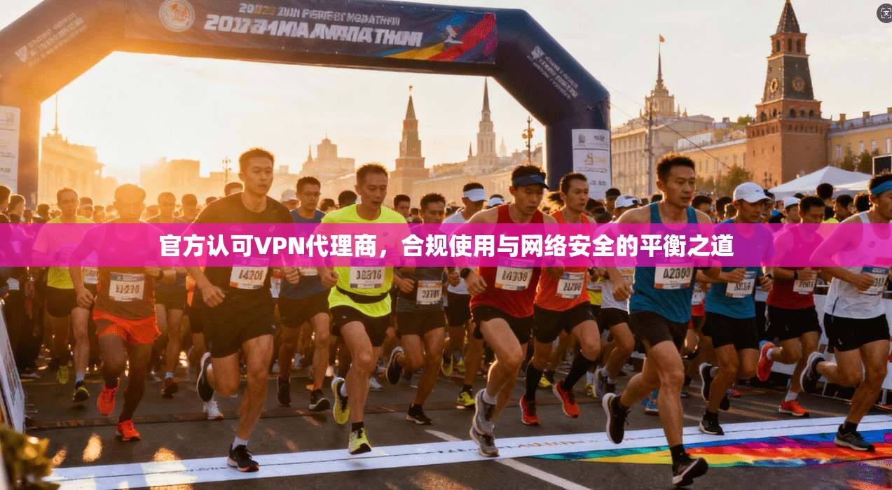 官方认可VPN代理商，合规使用与网络安全的平衡之道