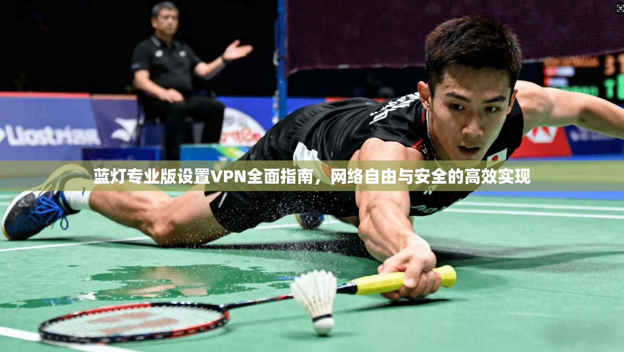 蓝灯专业版设置VPN全面指南，网络自由与安全的高效实现