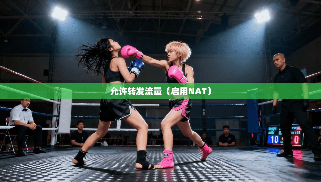 允许转发流量（启用NAT）