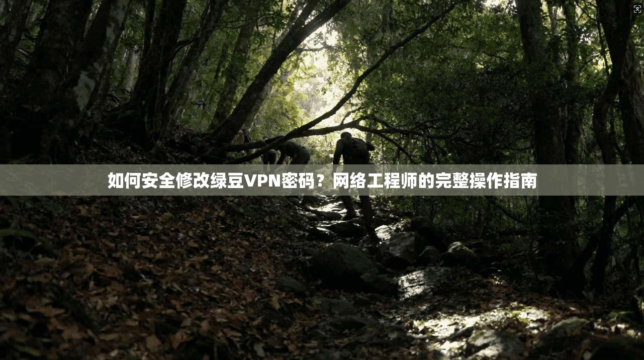 如何安全修改绿豆VPN密码？网络工程师的完整操作指南