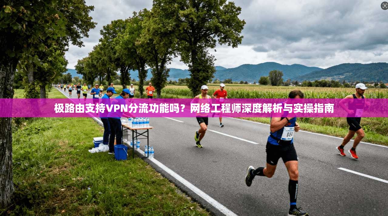极路由支持VPN分流功能吗？网络工程师深度解析与实操指南