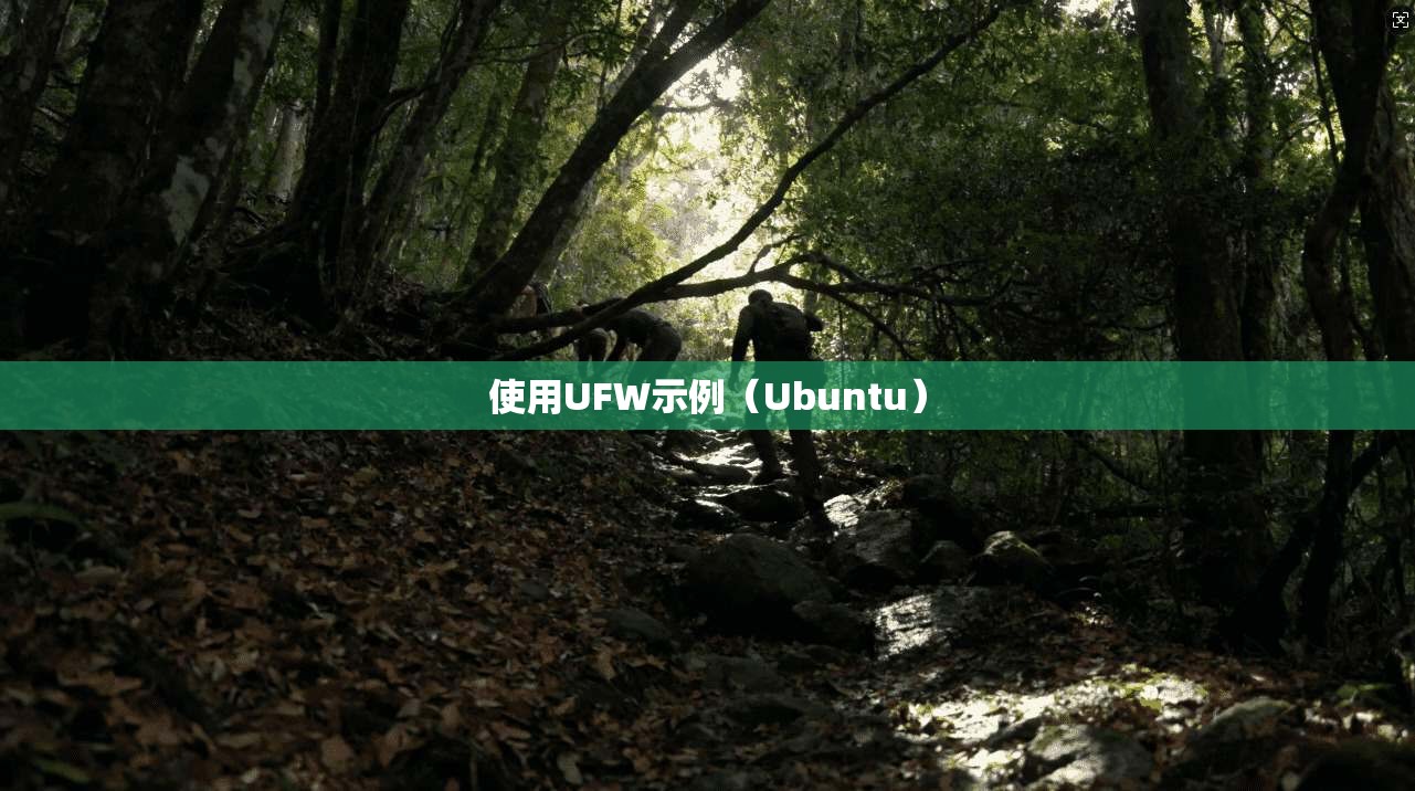 使用UFW示例（Ubuntu）