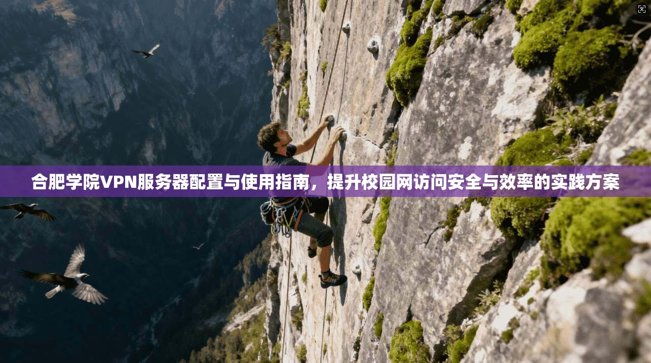 合肥学院VPN服务器配置与使用指南，提升校园网访问安全与效率的实践方案