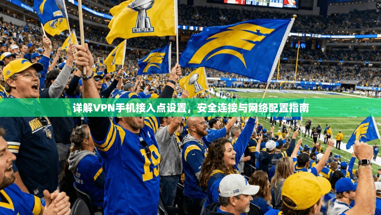 详解VPN手机接入点设置，安全连接与网络配置指南