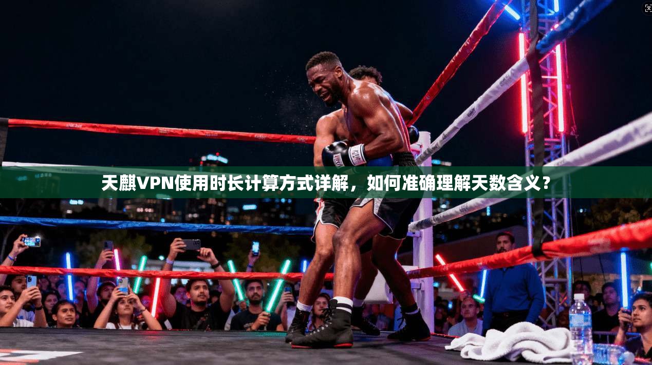 天麒VPN使用时长计算方式详解，如何准确理解天数含义？