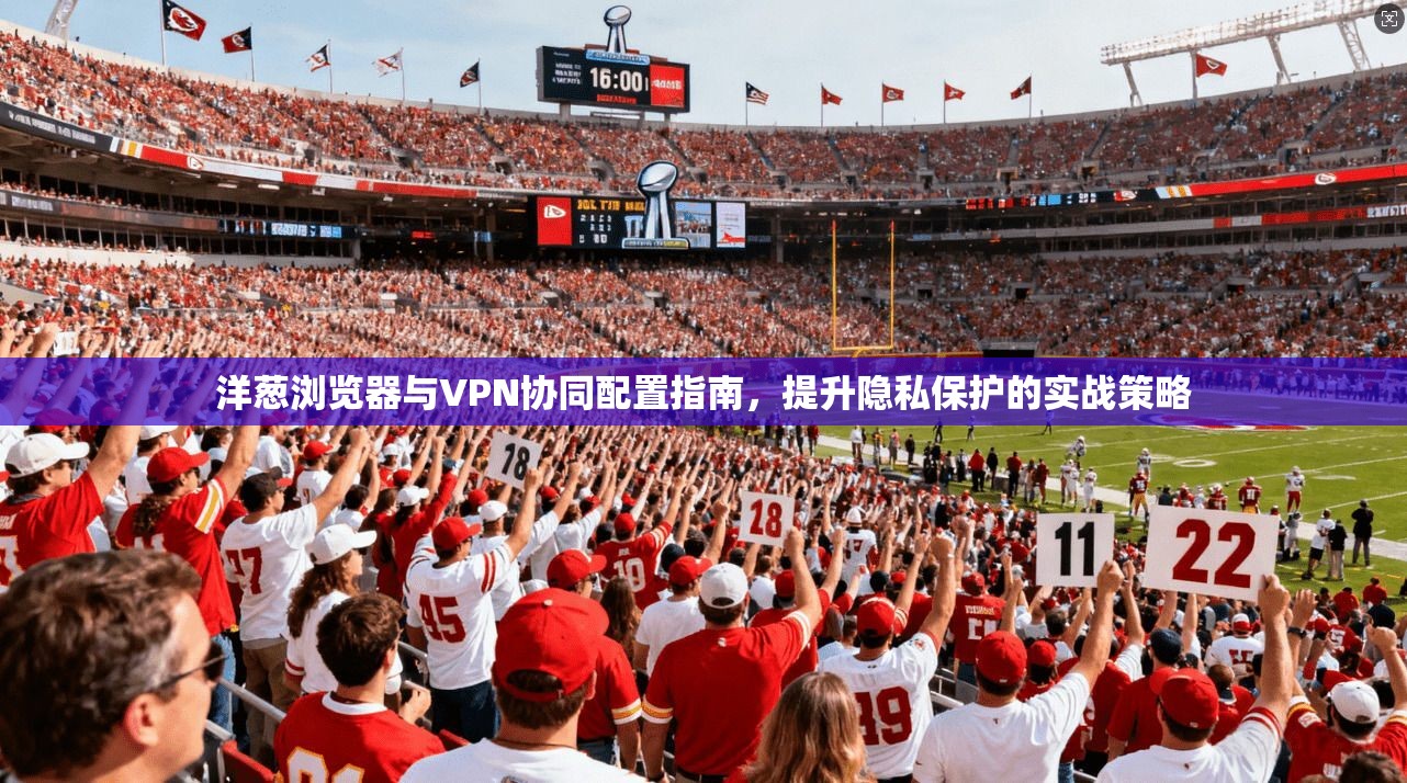 洋葱浏览器与VPN协同配置指南，提升隐私保护的实战策略