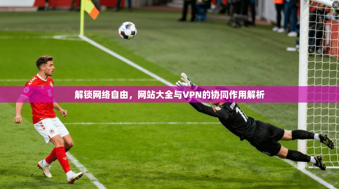 解锁网络自由，网站大全与VPN的协同作用解析