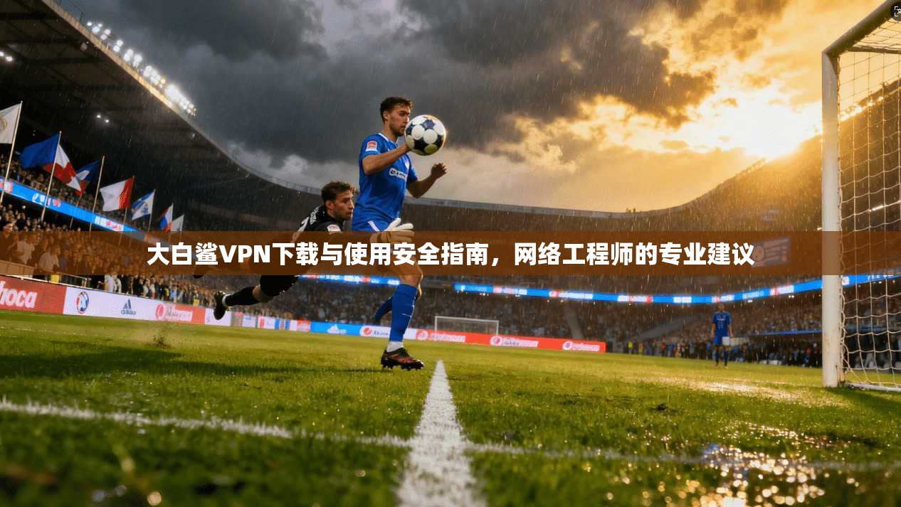 大白鲨VPN下载与使用安全指南，网络工程师的专业建议