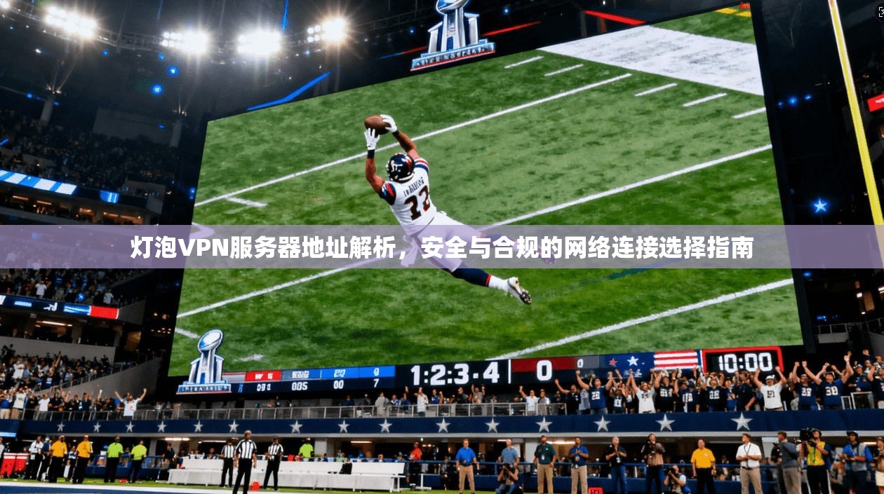 灯泡VPN服务器地址解析，安全与合规的网络连接选择指南