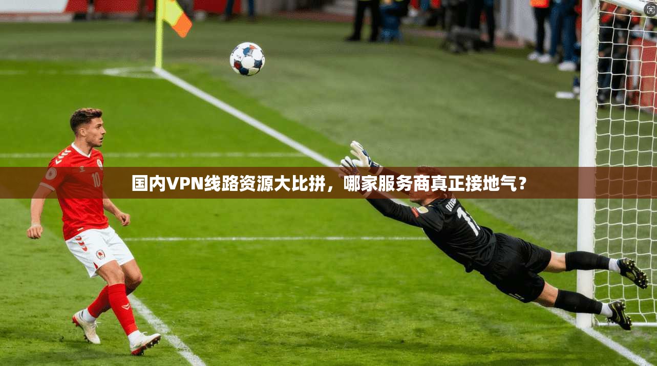 国内VPN线路资源大比拼，哪家服务商真正接地气？