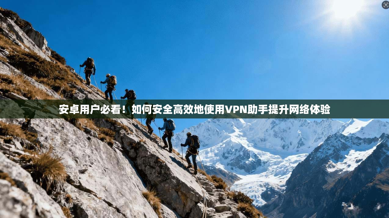 安卓用户必看！如何安全高效地使用VPN助手提升网络体验