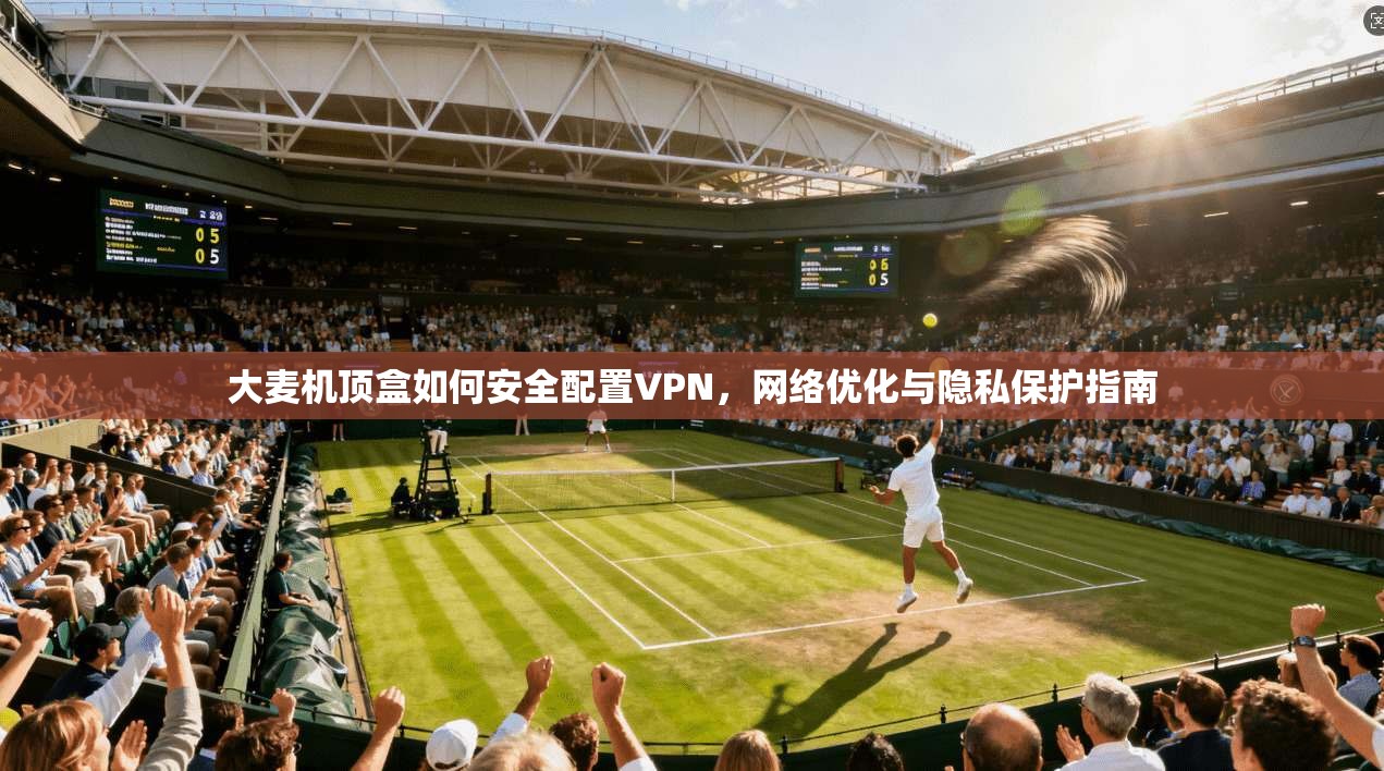 大麦机顶盒如何安全配置VPN，网络优化与隐私保护指南