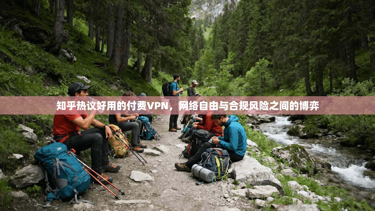知乎热议好用的付费VPN，网络自由与合规风险之间的博弈