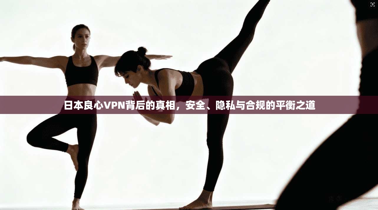 日本良心VPN背后的真相，安全、隐私与合规的平衡之道