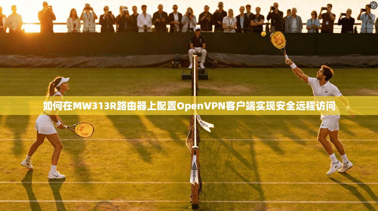 如何在MW313R路由器上配置OpenVPN客户端实现安全远程访问