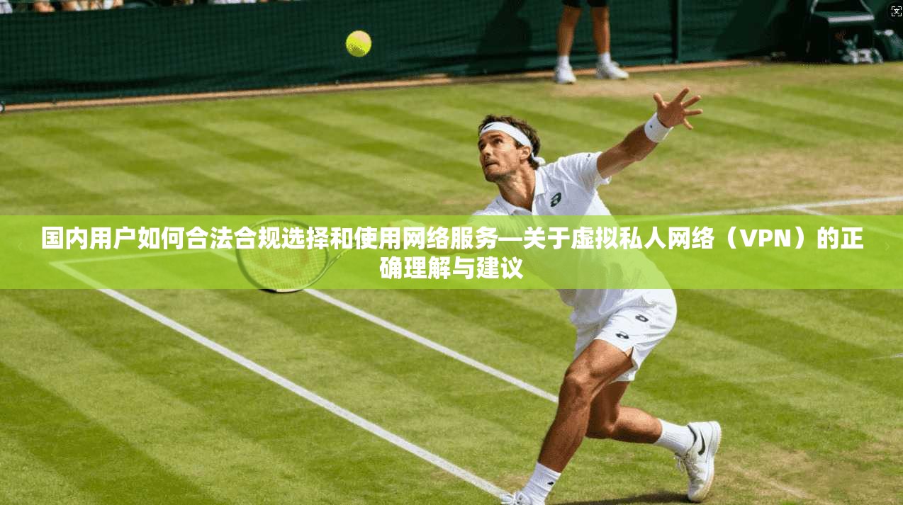 国内用户如何合法合规选择和使用网络服务—关于虚拟私人网络（VPN）的正确理解与建议