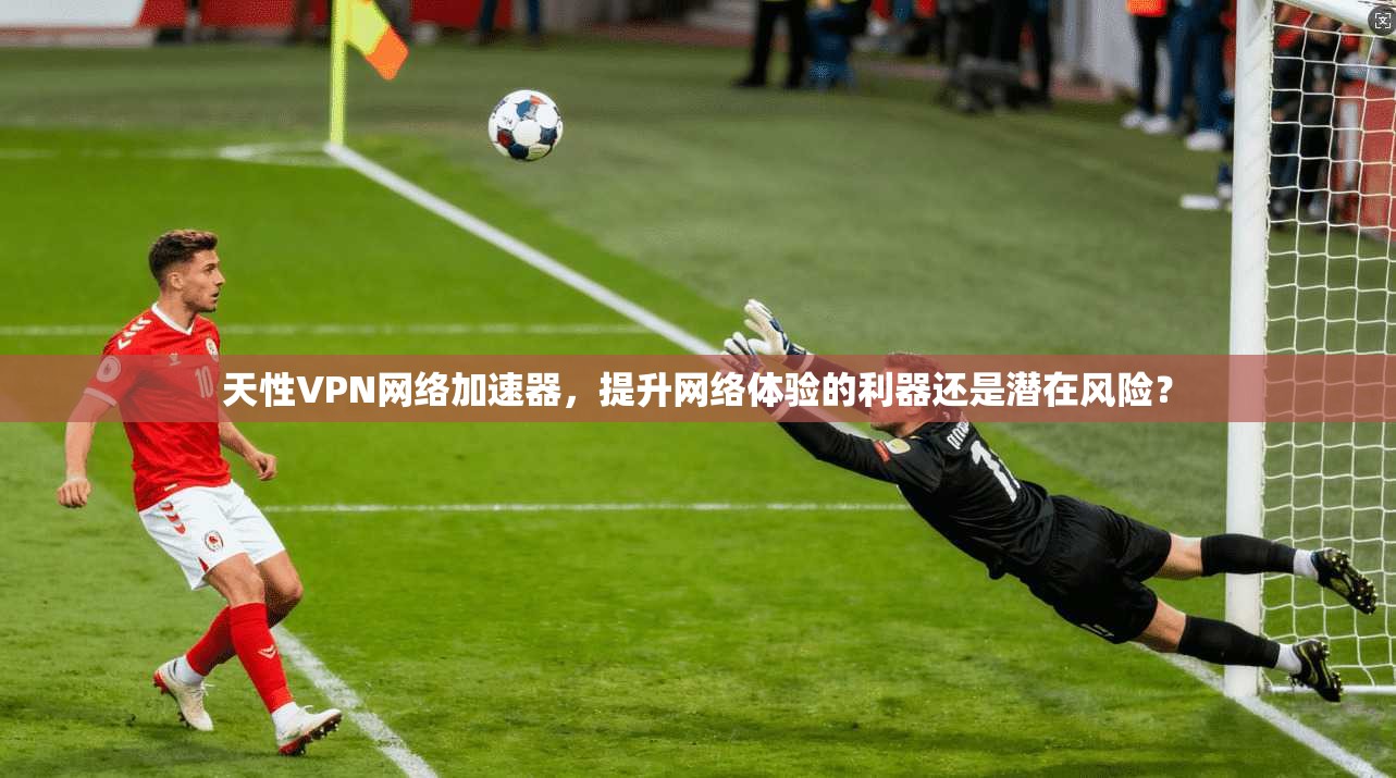 天性VPN网络加速器,提升网络体验的利器还是潜在风险?