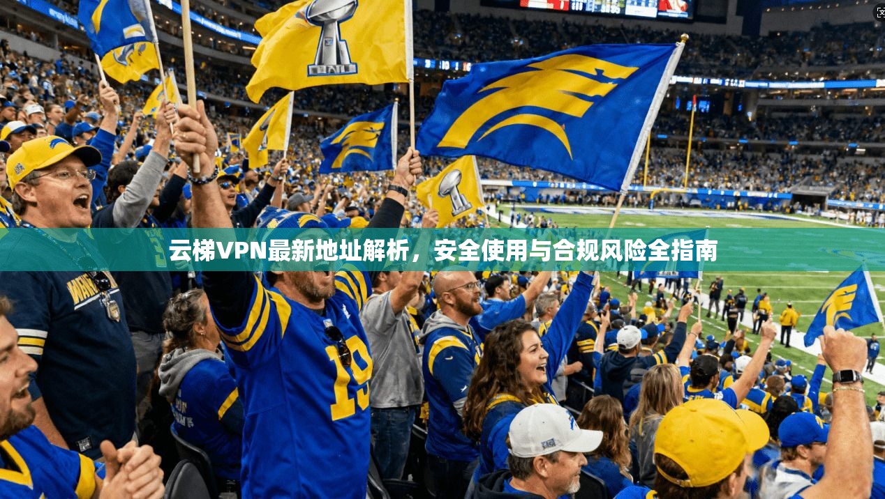 云梯VPN最新地址解析,安全使用与合规风险全指南