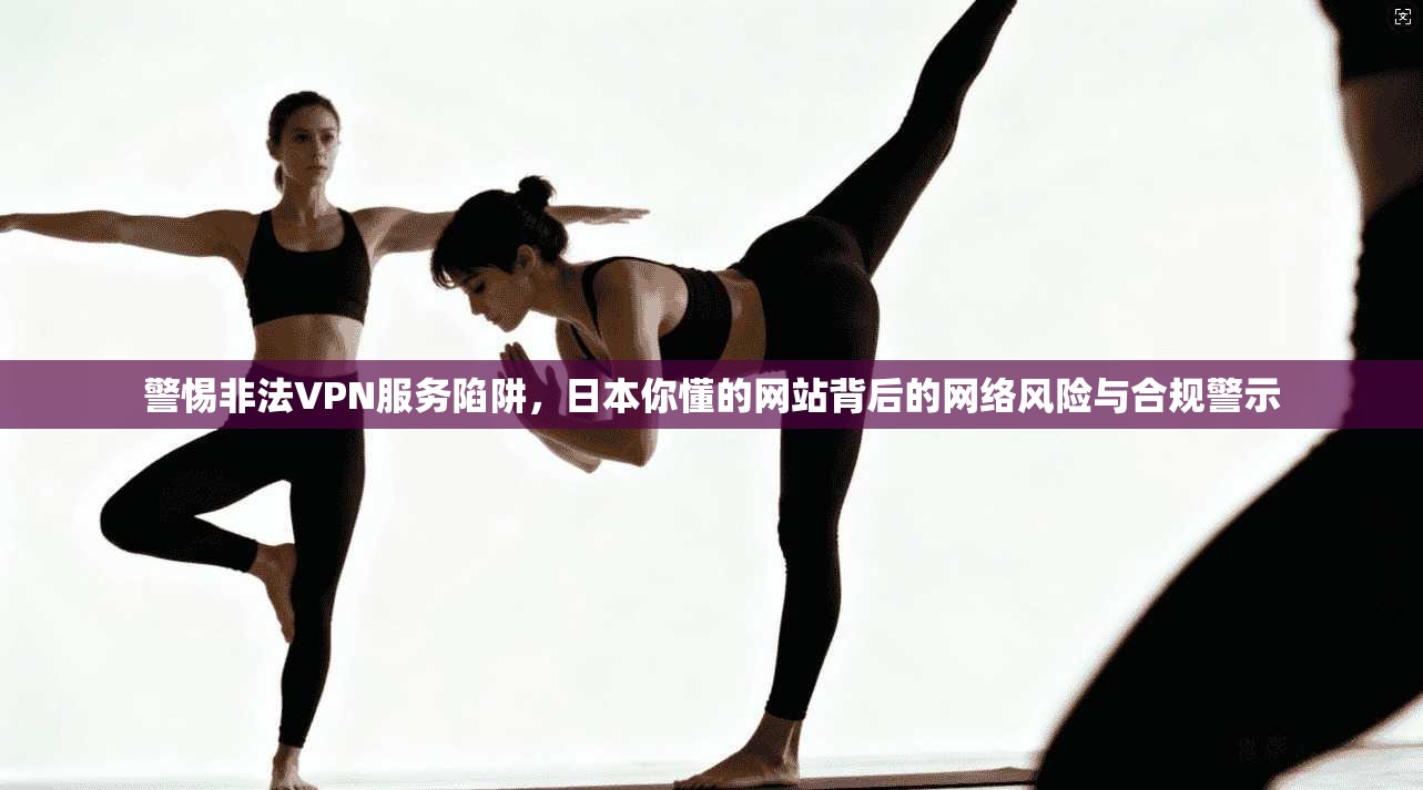 警惕非法VPN服务陷阱，日本你懂的网站背后的网络风险与合规警示