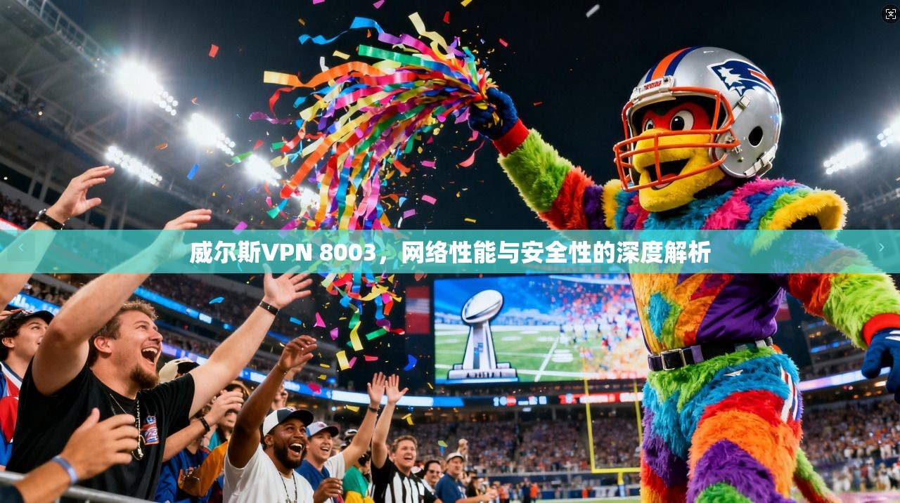 威尔斯VPN 8003，网络性能与安全性的深度解析