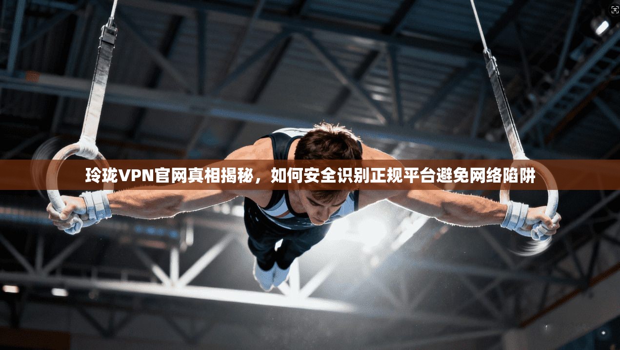 玲珑VPN官网真相揭秘，如何安全识别正规平台避免网络陷阱
