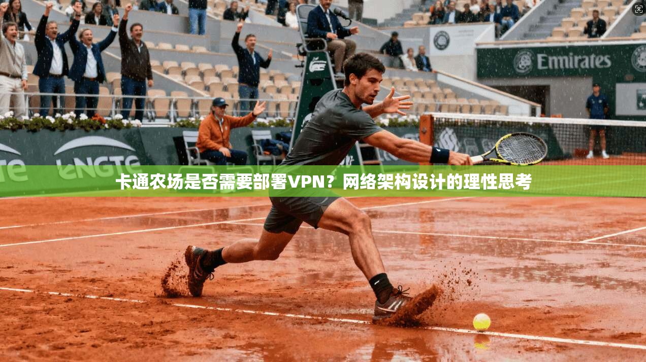 卡通农场是否需要部署VPN？网络架构设计的理性思考