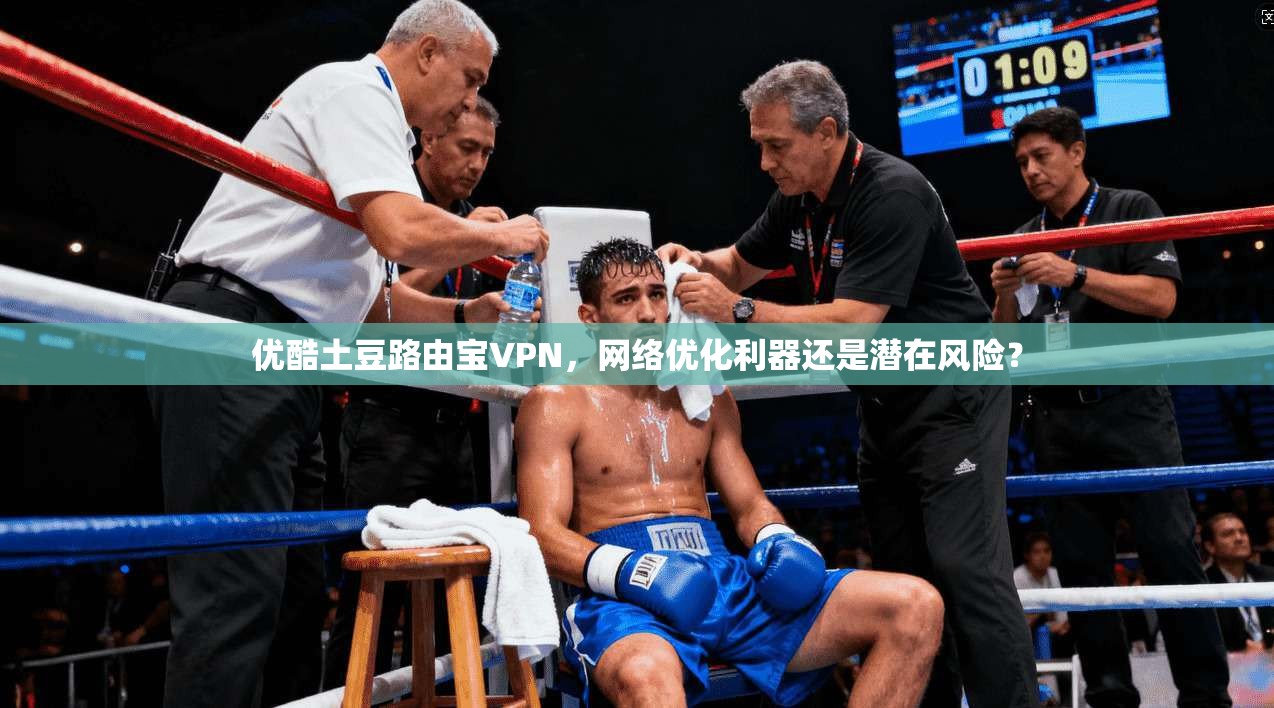 优酷土豆路由宝VPN，网络优化利器还是潜在风险？